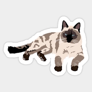 Siamese Cat Sticker